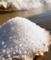  海滩上的晶体状物体特写5715#竖屏 	 