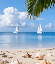  海滩海景帆船与沙滩贝壳2721#竖屏 	 