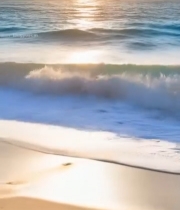  海滩持冲浪板的比基尼女子5916#竖屏 	 