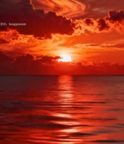  海上壮丽日落自然风景素材1377#竖屏 	 