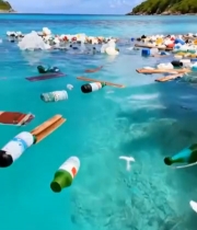  海滩海洋垃圾污染场景633#竖屏 	 