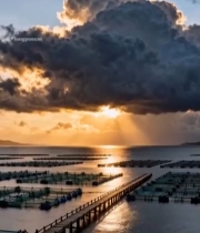  海上渔场日落景象1108#竖屏 	 