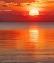  海上夕阳落日美景6686#竖屏 	 
