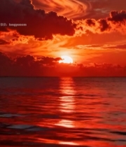  海上日落壮丽全景3302#竖屏 	 
