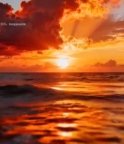 海上日落壮美景色3588#竖屏 	 