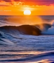  海上日落海浪景观(6)6303#竖屏 	 