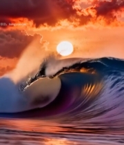  海上日落海浪风景(1)5050#竖屏 	 