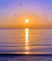  海上日出自然风光素材183#竖屏 	 