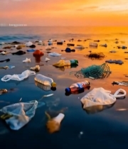  海上漂浮垃圾日落景象5206#竖屏 	 