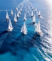  海上帆船航行全景4439#竖屏 	 