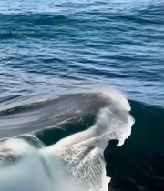  海浪翻涌自然风光素材1035#竖屏 	 