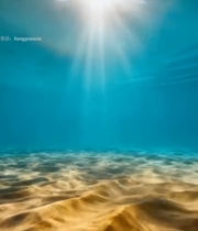  海底阳光照射沙滩画面2485#竖屏 	 