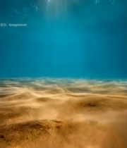  海底阳光透过海水照射沙底6659#竖屏 	 