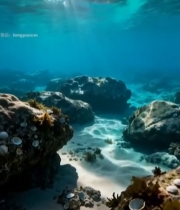  海底阳光照射礁石景观6538#竖屏 	 