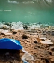  海底塑料垃圾景象420#竖屏 	 