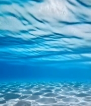  海底清澈海水及水底景象4575#竖屏 	 