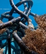  海底缠绕的黑色管道1993#竖屏 	 