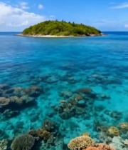  海岛近海珊瑚景观5404#竖屏 	 