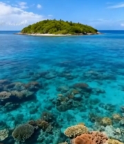  海岛近海珊瑚景观5404#竖屏 	 