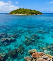  海岛周边清澈海域与珊瑚景观(1)4672#竖屏 	 