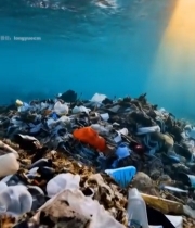  海底堆积的塑料垃圾素材1989#竖屏 	 