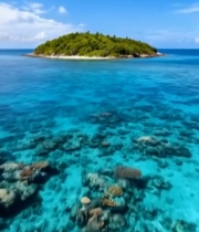  海岛周边清澈海域与珊瑚景观662#竖屏 	 