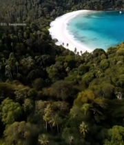  海岛沙滩森林航拍自然风光5925#竖屏 	 