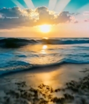  海边日落自然风光素材(1)3879#竖屏 	 