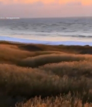  海边日落自然风光(11)7125#竖屏 	 