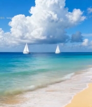  海边沙滩帆船风景画面7173#竖屏 	 