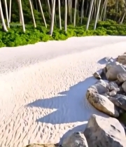  海边沙滩岩石与棕榈树风景5267#竖屏 	 