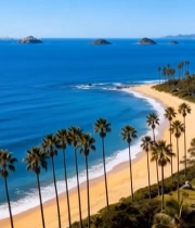  海边沙滩棕榈树自然风光1742#竖屏 	 