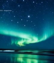  海边夜空下的极光景观1848#竖屏 	 