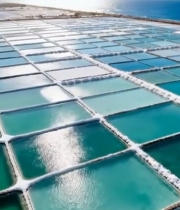  海边盐田俯拍全景7662#竖屏 	 