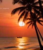  海边夕阳下的椰树与渔船7564#竖屏 	 