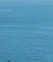  海边小镇灯塔俯瞰画面6099#竖屏 	 