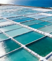  海边盐田俯瞰景观3814#竖屏 	 