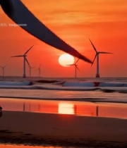  海边日落时的风力发电机组6793#竖屏 	 