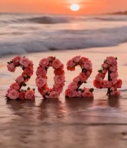  海边玫瑰组成的数字景观6051#竖屏 	 