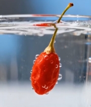  枸杞入水特写素材2072#竖屏 	 