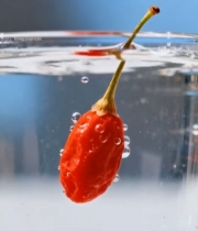  枸杞入水特写5297#竖屏 	 