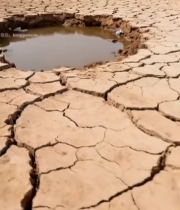  干旱土地上的积水小水坑7136#竖屏 	 