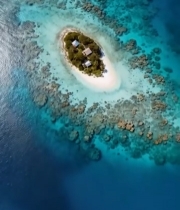  俯瞰海洋中的小岛与珊瑚礁3653#竖屏 	 