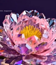  粉色水晶花朵摆件特写7699#竖屏 	 