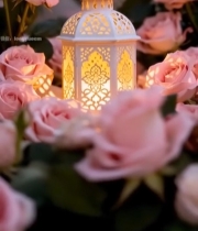  粉色玫瑰中的白色镂空小提灯2051#竖屏 	 