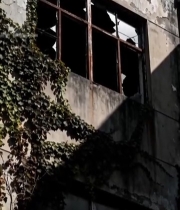  废弃建筑墙面与破损窗户4603#竖屏 	 