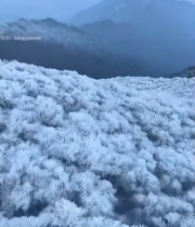  冬季山峦雾凇覆盖景象4043#竖屏 	 