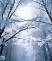  冬日森林阳光雪景素材(1)4939#竖屏 	 