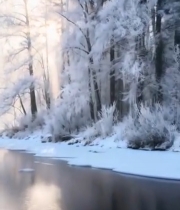  冬日森林河畔阳光雪景(1)2098#竖屏 	 