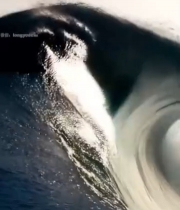  大海汹涌海浪特写(1)1233#竖屏 	 